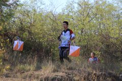 Pictur:Sprint