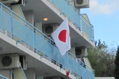 Pictur:Albena:Office of Team Japan