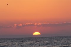 Pictur:Albena:Black Sea's sunrise at 06:40